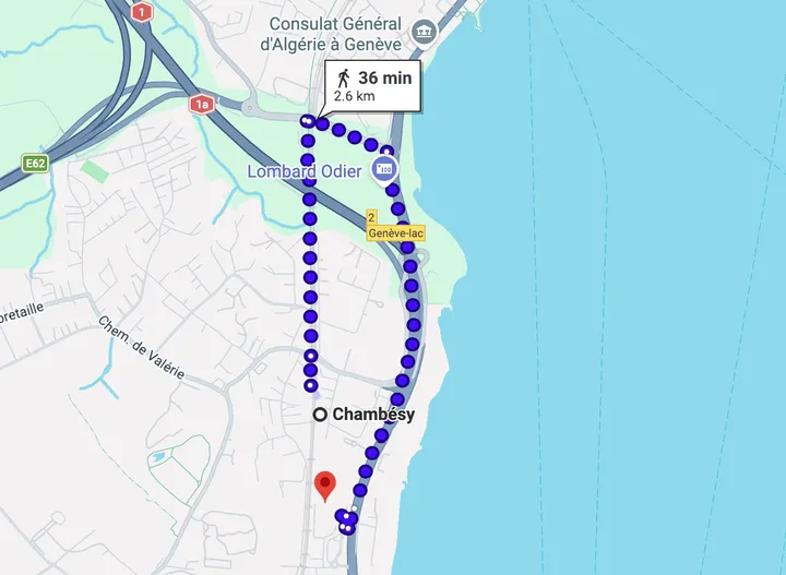 Google Maps suggested longer route in Geneva