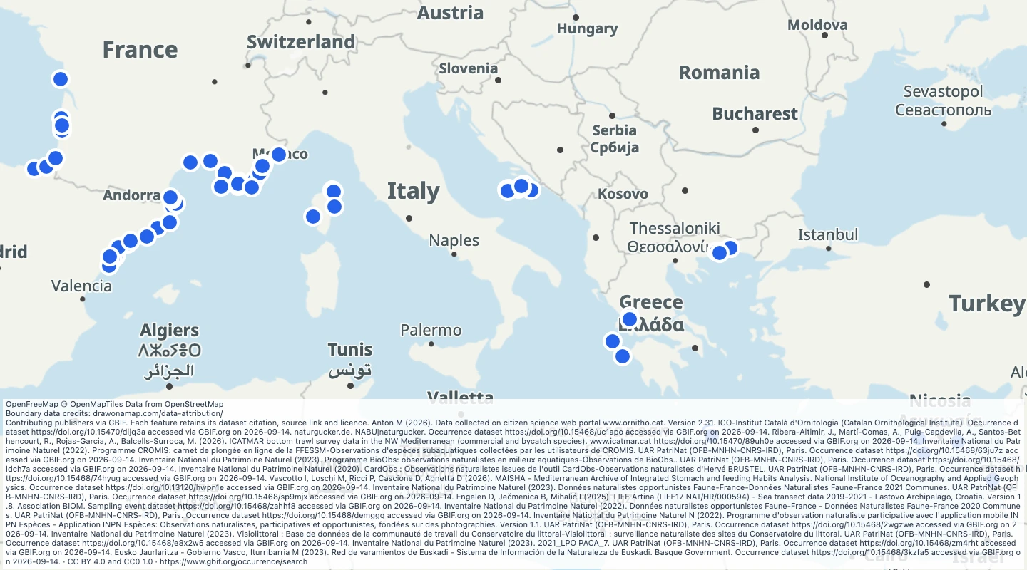Map preview: Mediterranean region sea turtle records, 2020–2025